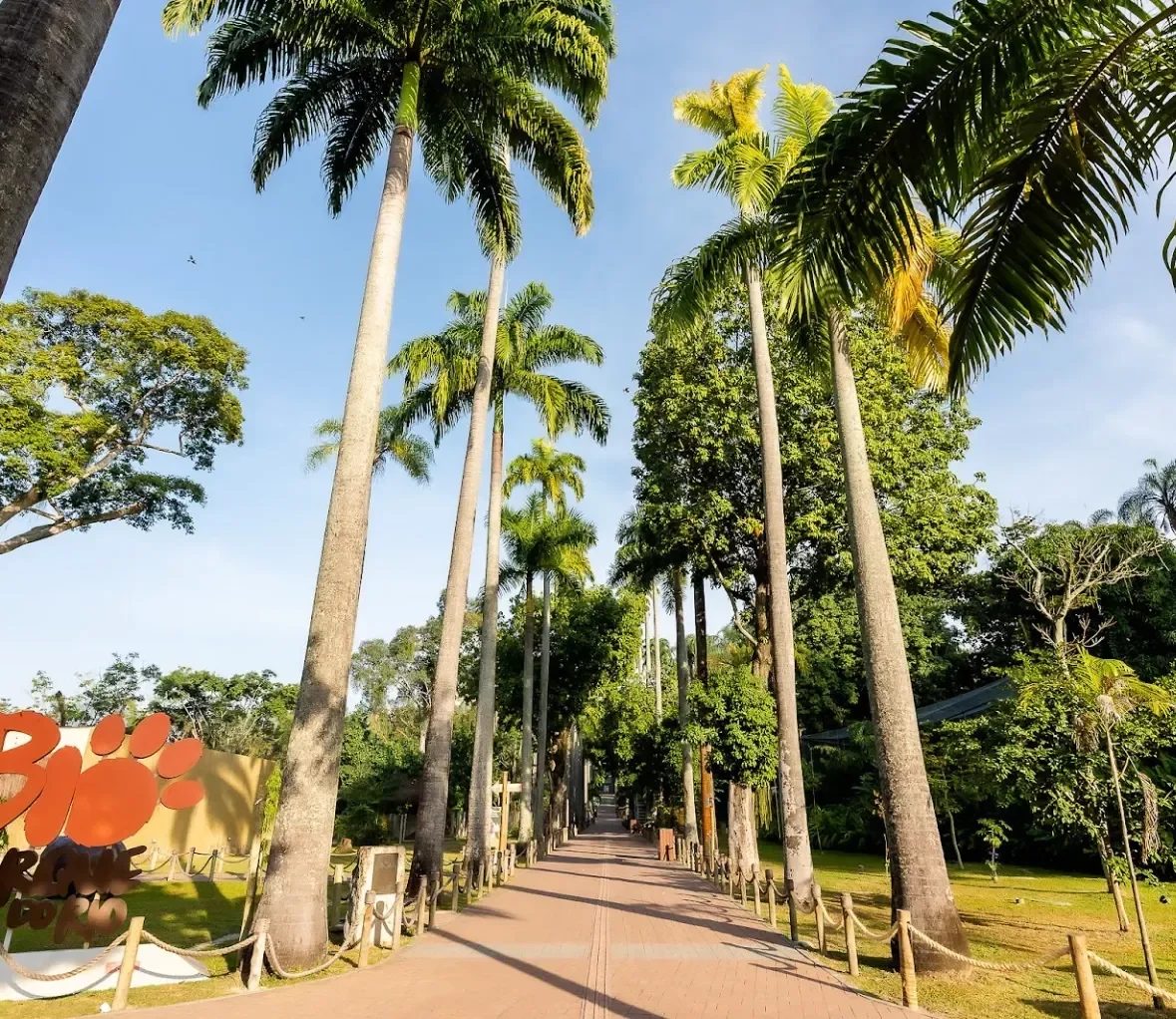 O BioParque conta com mais de 1.100 animais de diferentes espécies