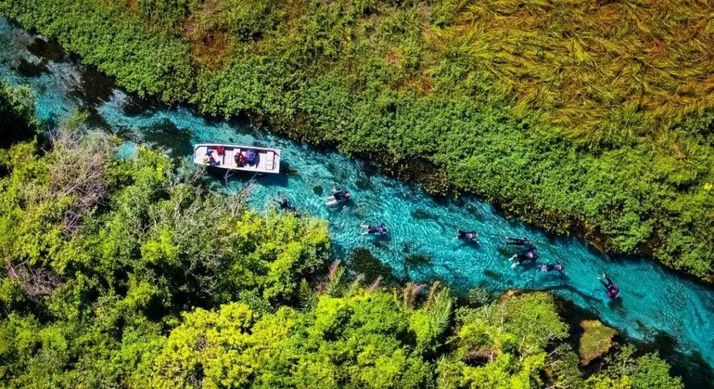 Imagem da vista aérea de um rio estreito e azul claro em Bonito, no Mato Grosso do Sul, que serpenteia pela densa vegetação verde, com um barco transportando pessoas e vários praticantes de snorkel nadando na água.