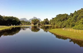 Um rio calmo reflete árvores, palmeiras e montanhas distantes sob um céu azul claro, cercado por uma vegetação exuberante e uma área gramada com uma cerca de madeira.