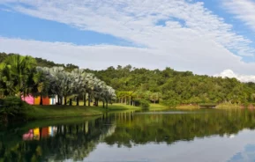 Uma vista panorâmica de um lago calmo que reflete palmeiras, margens gramadas, alguns edifícios coloridos e uma floresta exuberante sob um céu azul parcialmente nublado.