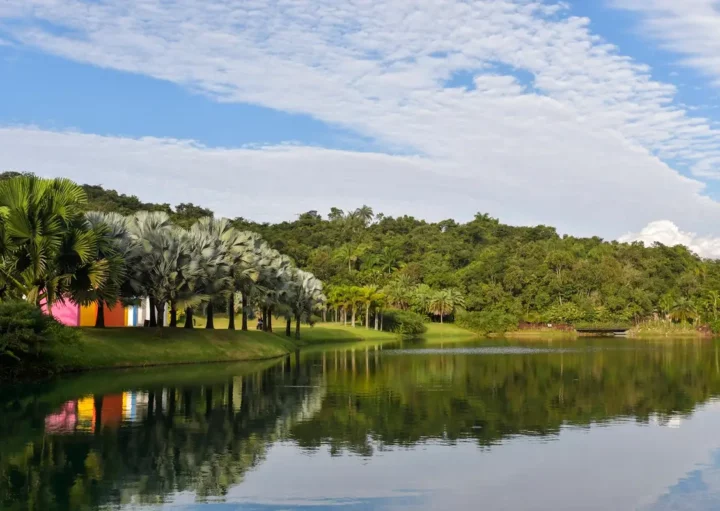 Uma vista panorâmica de um lago calmo que reflete palmeiras, margens gramadas, alguns edifícios coloridos e uma floresta exuberante sob um céu azul parcialmente nublado.