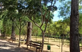 Uma cena ensolarada de parque com árvores altas, folhagem verde, bancos ao longo de um caminho de terra e uma lixeira. As sombras das árvores criam uma atmosfera fresca e tranquila no chão.