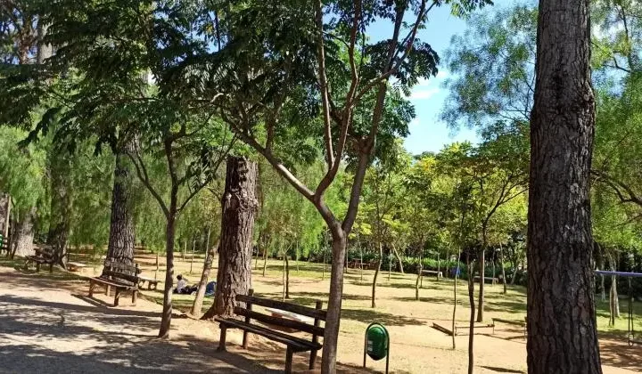 Uma cena ensolarada de parque com árvores altas, folhagem verde, bancos ao longo de um caminho de terra e uma lixeira. As sombras das árvores criam uma atmosfera fresca e tranquila no chão.