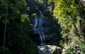 Uma cachoeira alta desce em cascata por rochas escuras cercadas por uma floresta densa e verde sob a luz do sol, criando uma cena natural tranquila.