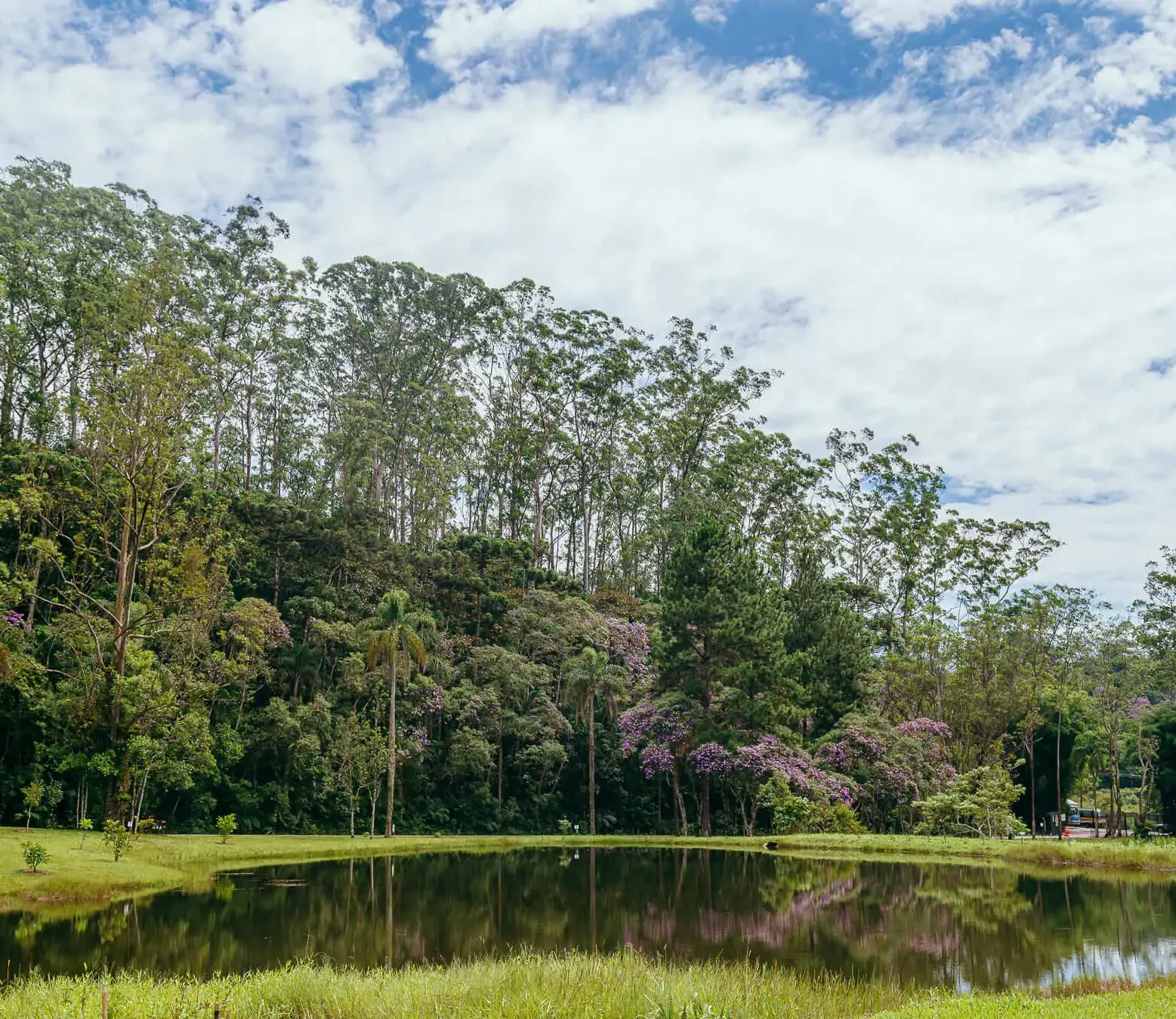 91% do território de Parelheiros é coberto por vegetação