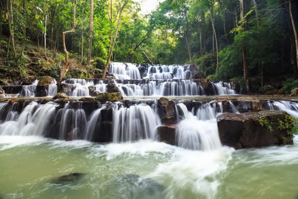 Imagem de uma cachoeira de várias camadas caindo em cascata sobre rochas escuras cercadas por uma floresta verde, criando riachos brancos que fluem para uma piscina de águas claras na base. A luz do sol passa por entre as árvores acima.
