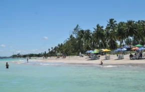 As pessoas desfrutam de um dia ensolarado em uma praia tropical, com palmeiras, guarda-sóis coloridos e cadeiras espalhadas ao longo da costa arenosa. A água é calma e turquesa, e o céu é claro e azul.
