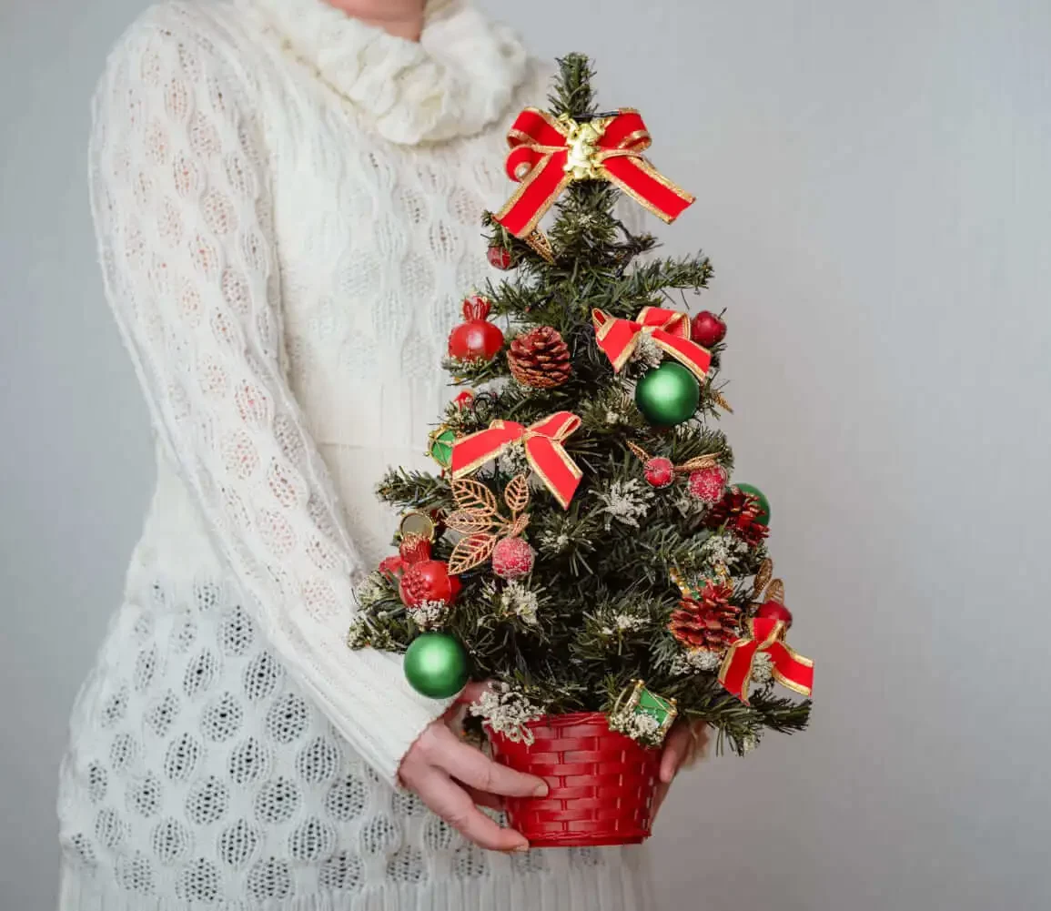 As árvores pequenas criam um ponto de destaque sem ocupar muito espaço