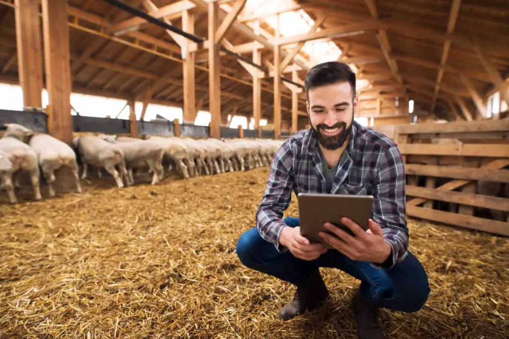 Imagem de um homem vestindo uma camisa xadrez ajoelhado em um celeiro, sorrindo enquanto olha para um tablet. As ovelhas estão alinhadas ao fundo, e o interior do celeiro apresenta vigas de madeira e chão coberto de palha.