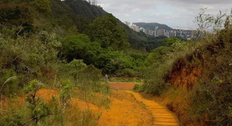 Imagem de uma trilha de terra com degraus de madeira na Serra do Curral, em BH. 
