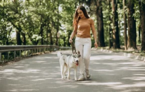 Imagem de uma mulher de camisa marrom e calça branca passeando com um cachorro husky na coleira por uma estrada arborizada em um dia ensolarado para ilustrar matéria sobre parque para cachorro.