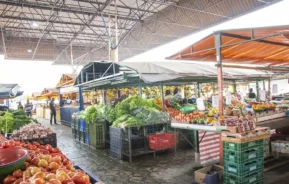 Mercado ao ar livre com várias barracas que vendem legumes, frutas e produtos frescos. Há folhas verdes, tomates, cebolas e outros itens coloridos organizados de forma organizada. Algumas pessoas estão caminhando e fazendo compras sob um telhado de metal.