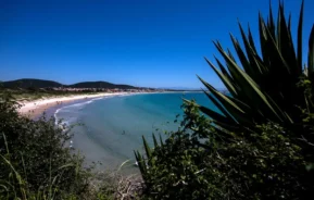 Uma praia cênica com água azul-turquesa, ondas suaves e uma costa arenosa se curva ao longo de uma baía. Colinas verdes e prédios espalhados alinham-se ao fundo, com grandes plantas pontiagudas em primeiro plano sob um céu azul claro.