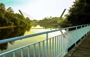 Uma moderna ponte estaiada atravessa um rio calmo cercado por árvores, com a luz do sol refletindo na água e uma passarela de madeira com corrimão azul em primeiro plano.